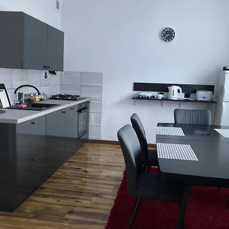 Mysliwska 98 Przy Kolejce Na Skrzyczne ,Apartament Z Tarasem , Studio ,Duzy Pokoj Apartment *